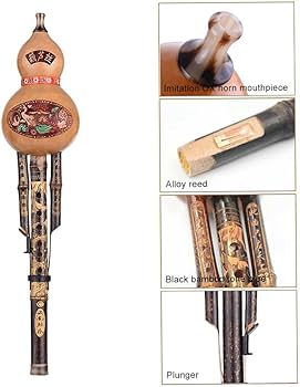 61wy-qf+WML._AC_UF350,